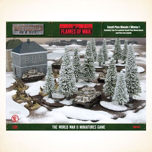 [BB145] Small Pine Wood: Winter